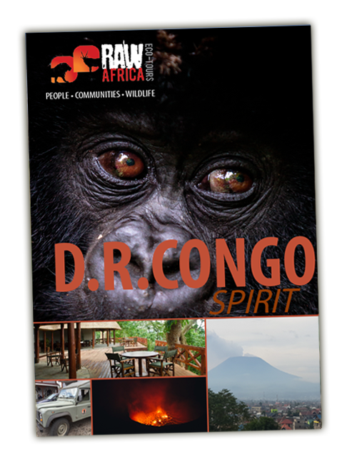 droc_spirit_cover-1.png