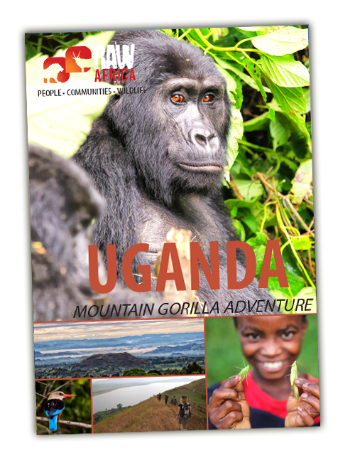 uganda_moutain_gorilla_adventure_cover.png