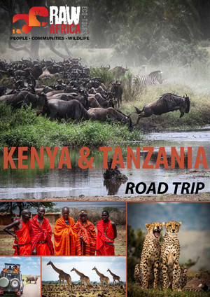 small-v7-Kenya-Tanzania-11-days-1.png