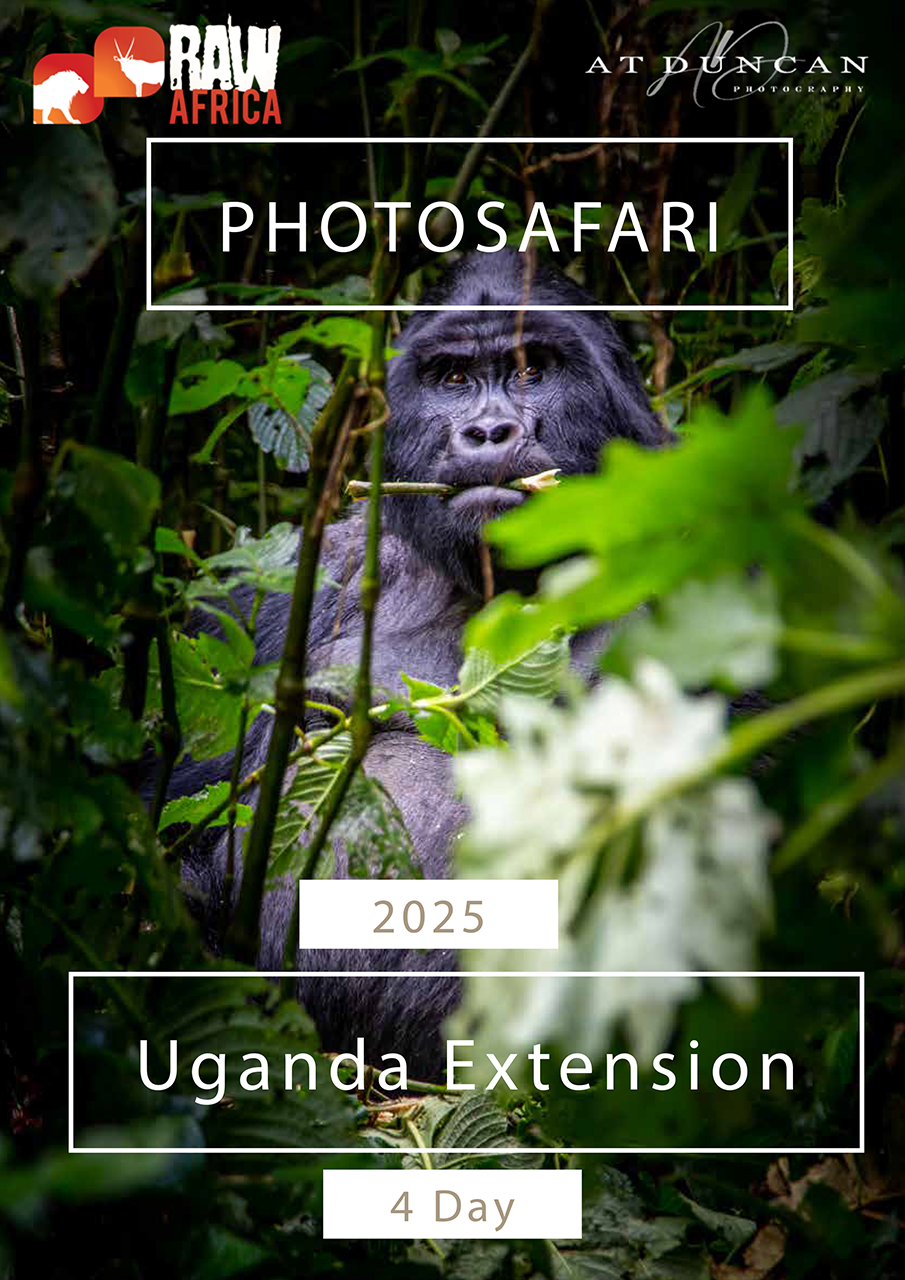 2025_RAW-Photosafari-4-Day-Uganda-Add-on_Finished_cover.png